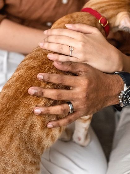 Pawparazzi By Prathima - Pet Milestone Photography Couples, Engagements & Save-the-Dates photo 14