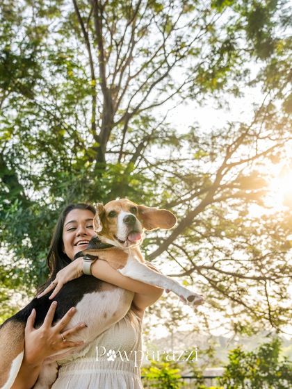 Pawparazzi By Prathima - Pet Milestone Photography Outdoor Adventures & Candid Play photo 26