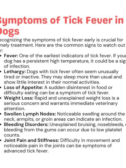 Woofly - Home Veterinary Services Parasite Prevention: Ticks, Fleas & More photo 7