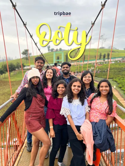 Our travelers on the hanging bridge in Ooty, with tea gardens in the background. A classic photo spot that we always cover.