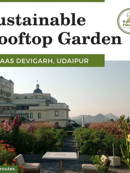 A view of the sustainable rooftop garden at RAAS Devigarh, with the historic palace in the background. Our design integrates the garden with the landscape, offering a serene escape and fresh, organic produce for guests.