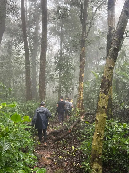 Trekkers making their way through a misty, dense forest trail in the Sharavathi valley, a typical scene from our monsoon adventures.