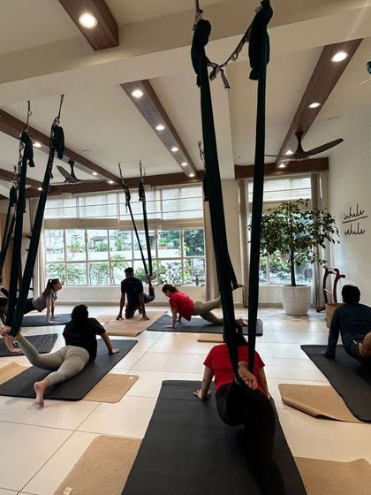 A wide view of our aerial yoga class in session. Students are using the hammocks to support their bodies in a modified plank pose, building core and upper body strength.