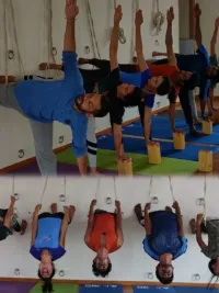 Group & Private Yoga Classes