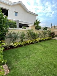 Landscape Design & Build