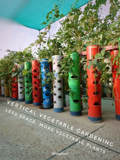 Another view of the space saving design. These towers line the edge of a terrace, turning an unused area into a productive food garden.