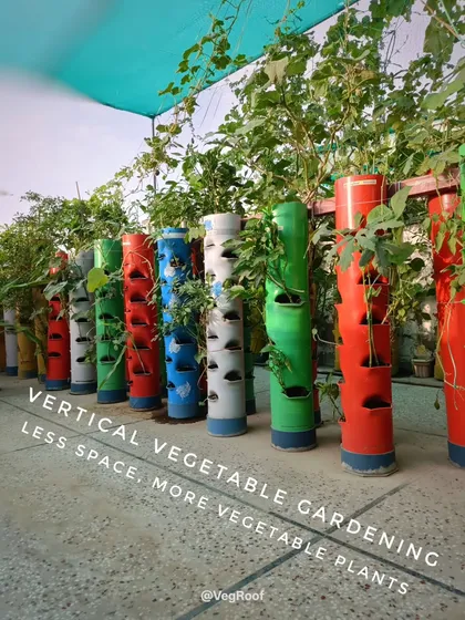 Another view of the space saving design. These towers line the edge of a terrace, turning an unused area into a productive food garden.