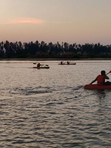 Kayaking through the mangroves at sunset is another unique experience we offer on our West Coast Odyssey tour.