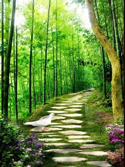 Wall Mind - Custom Wallpaper & Wall Murals Tropical & Nature Escapes photo 26