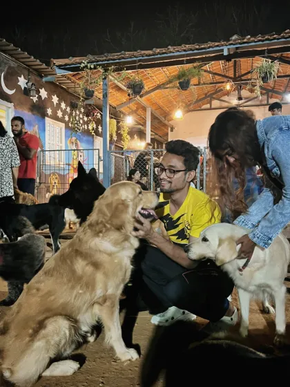 A visitor gets a double dose of love, receiving kisses from both a Golden Retriever and a Labrador.