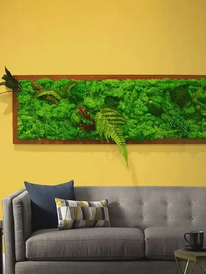 Moss art is a perfect way to bring nature into your living room. This framed piece, filled with various types of preserved moss and ferns, hangs above the sofa like a painting, adding texture and a calming, natural element.