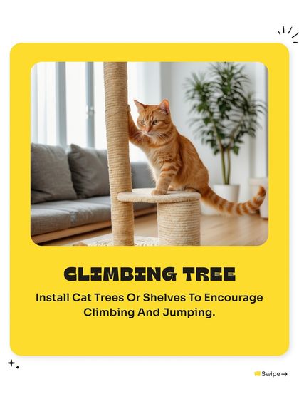 Pet Warehouse - Pet Supplies Toys, Accessories & Essentials photo 6