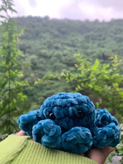 I love taking my creations outdoors. The natural light really shows off the rich texture of the yarn on this handmade octopus.