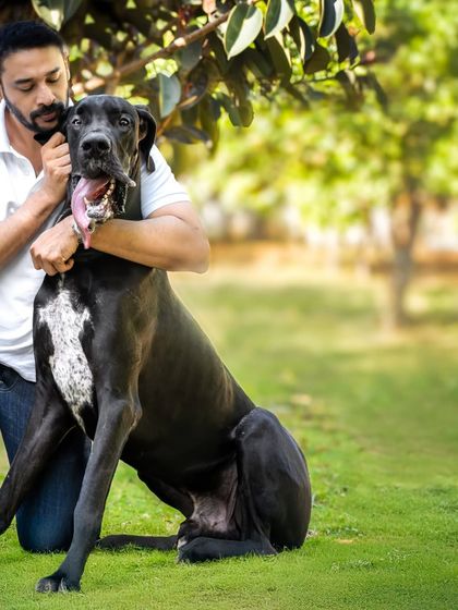 A full-body shot of a man and his Great Dane sharing a hug in the park, showcasing their close relationship.