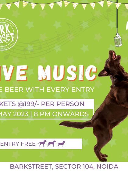 Another Saturday, another live music night! We love providing a space for you to enjoy music with your pet.