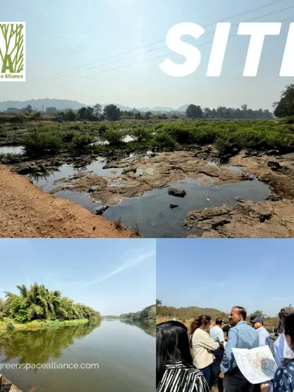 Site visits are vital to bridge the gap between design and execution. Here, our team is on site, analyzing the existing conditions of a river and surrounding land to gather insights that will inform a functional and contextually aligned master plan.