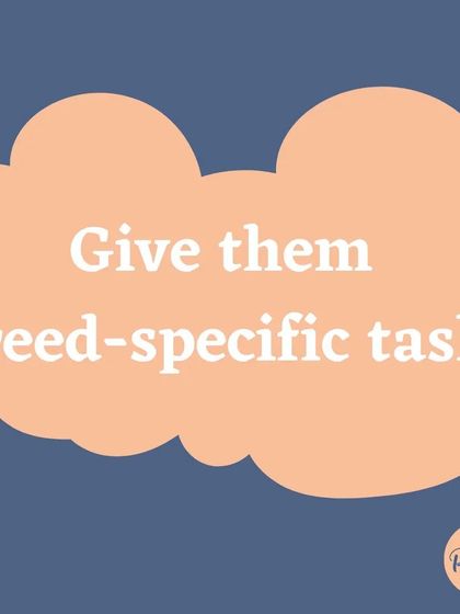 You can also give your dog breed-specific tasks. For example, you can play scent games with a Beagle or practice retrieving with a Labrador.