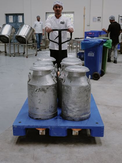 A team member transports the milk cans into our production facility. This behind-the-scenes view shows the scale of our daily cheese-making operation.