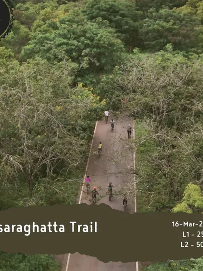 Another view of the 'Hesaraghatta Trail', showcasing the beautiful tree-lined roads that provide welcome shade and a stunning visual experience.