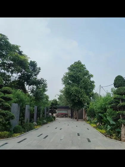 A view down the completed landscaped driveway. The combination of sculpted trees, stone wall panels, and lush greenery creates a grand and impressive entrance to the property.