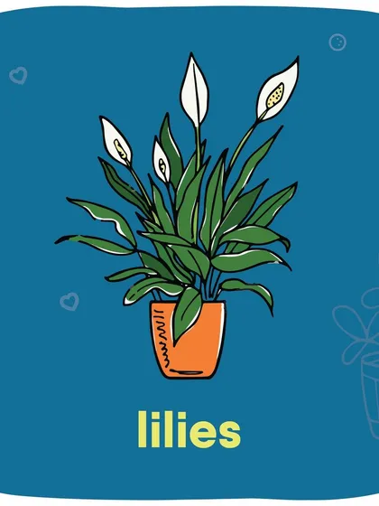 Did you know plants like Lilies, Aloe Vera, Jade Plants, and English Ivy are toxic to pets? This guide shows some common houseplants to keep away from your furry botanists.