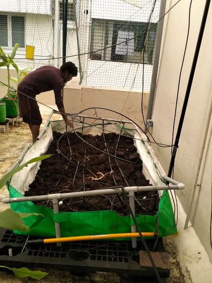 Garden Setup & Ongoing Care photo 7