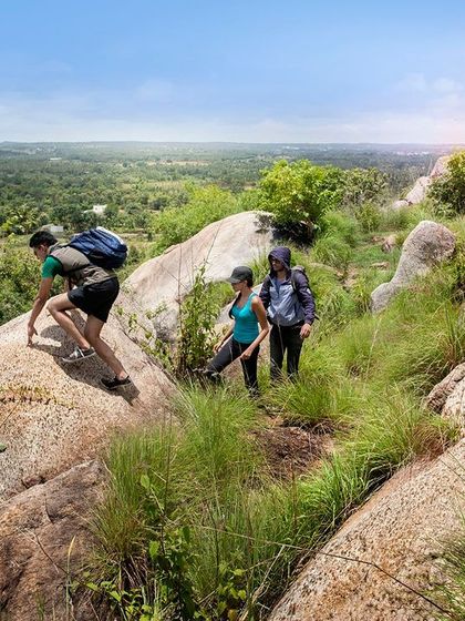 Discovery Village Resorts - Corporate & Group Outings Relaxed Pursuits & Nature Connection photo 11