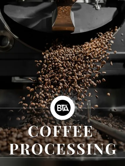 A shot of roasted beans being discharged from a roaster, representing the coffee processing stage.