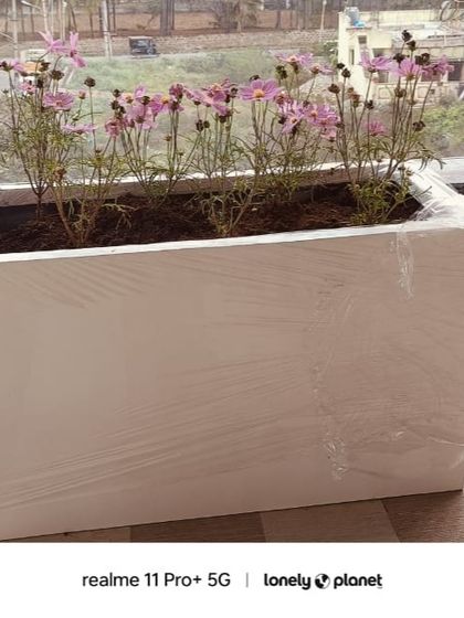 The Garden Hub - Landscape Design & Build Balcony & Terrace Transformations photo 7