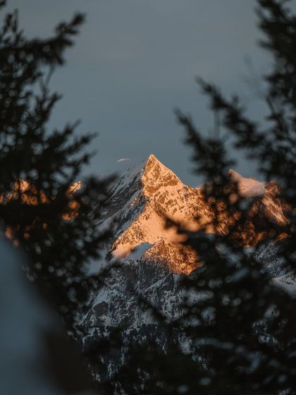 The last light of sunset hits a snow-covered mountain peak, framed by pine trees. This is a moment of pure alpine beauty.