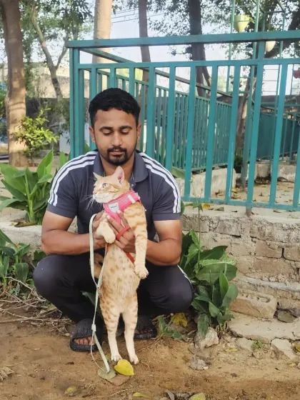One of our staff members holding a cat guest. We are experienced in handling cats and giving them the gentle, patient care they need to feel secure.