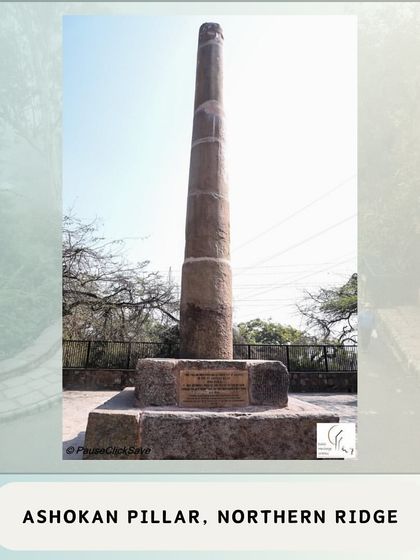 The Sultanate Period: Forts, Tombs, and Lost Cities photo 31