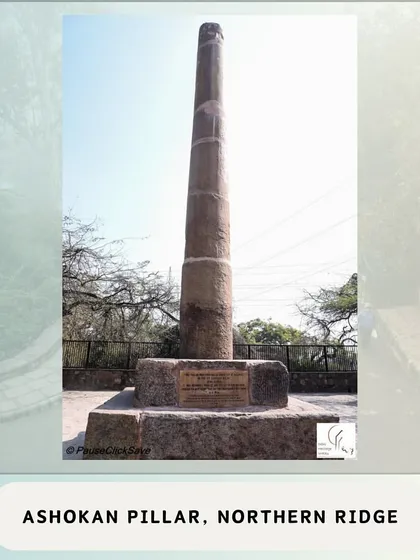 The second Ashokan Pillar, located on the Northern Ridge near Firoz Shah's hunting lodge. This pillar was brought from Meerut and was damaged in an 18th-century explosion before being reassembled.