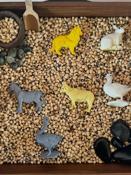 This farm-themed sensory bin features black-eyed peas and animal figurines. It’s a wonderful tool for storytelling and learning about animals, all while engaging in tactile play.