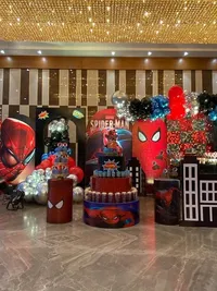 Birthday Party Decoration