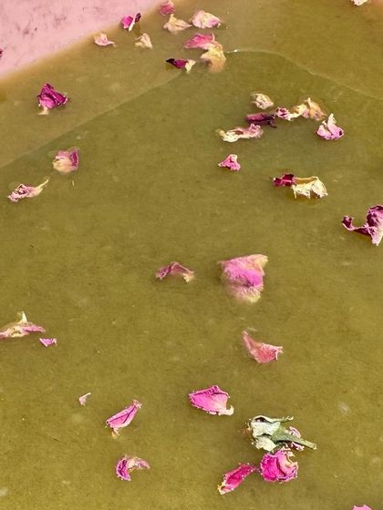 Rose petals floating in the paper pulp. This was an experiment for Valentine's Day, combining the craft of papermaking with the beauty of flowers.