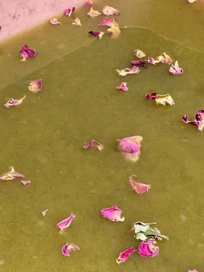Rose petals floating in the paper pulp. This is the step where I add natural elements to the paper, giving each sheet a unique and decorative quality.
