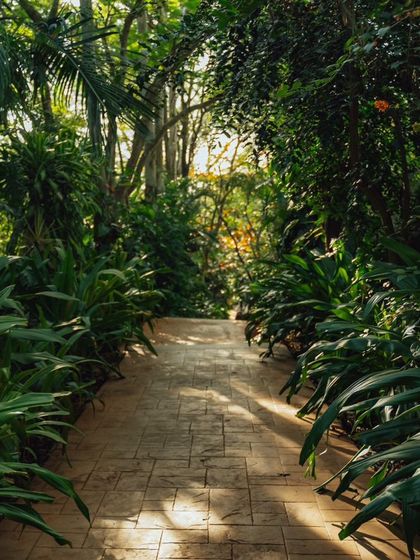 A sunlit path winds through a dense garden, inviting you to explore the natural beauty of the resort.