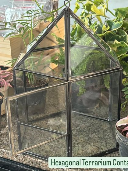 Healing Garden - DIY Craft Kits & Gifts Quality Plants & Materials photo 3