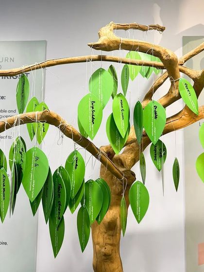 Our pledge tree from the Environment Day celebration, filled with leaves representing individual commitments to plant more trees. It's a beautiful symbol of our collective effort.