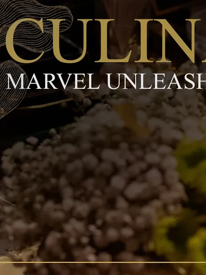 A graphic highlighting our culinary marvels, representing our commitment to creating sensational food that is both delicious and visually stunning.