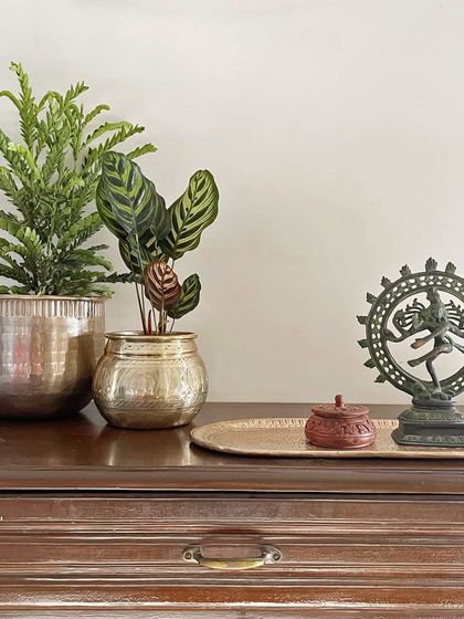 Thorny Affair - Pots & Planters Styling Your Green Sanctuary photo 10