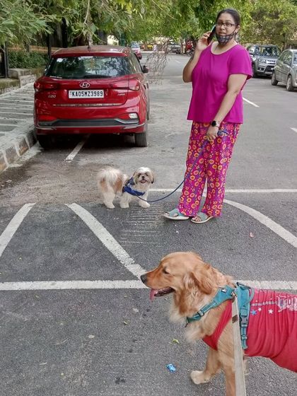 FurryDen - Home Dog Boarding Daily Walks & Balcony Fun photo 6