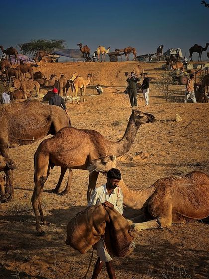 Beyond Mumbai: Cultural Explorations photo 5