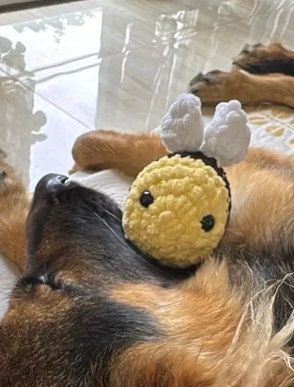 This fluffy bumblebee found a cozy spot to rest. I love when clients send me pictures of my creations in their new homes. It’s the best feeling!