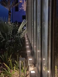 Landscape & Exterior Lighting Design