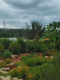 Sustainable Architecture Consulting