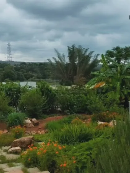 A view from the "Breathe" residence, where the architecture and landscape are designed as true companions. The house occupies only a quarter of the site, allowing the rest to become a thriving, eco-sensitive landscape that supports native plants and creates a habitat for local wildlife.