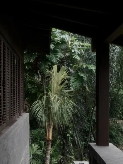 A quiet corner of a veranda in Bali, where the dark timber structure frames a view of the dense tropical greenery. These in-between spaces are designed for rest and contemplation.
