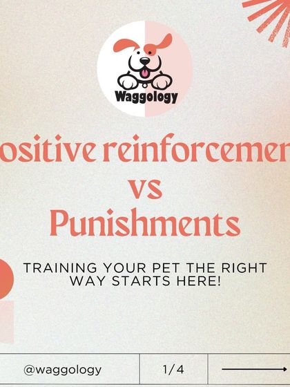 This is the first in a series of graphics explaining the difference between positive reinforcement and punishment. Training your pet the right way starts with understanding these core concepts.